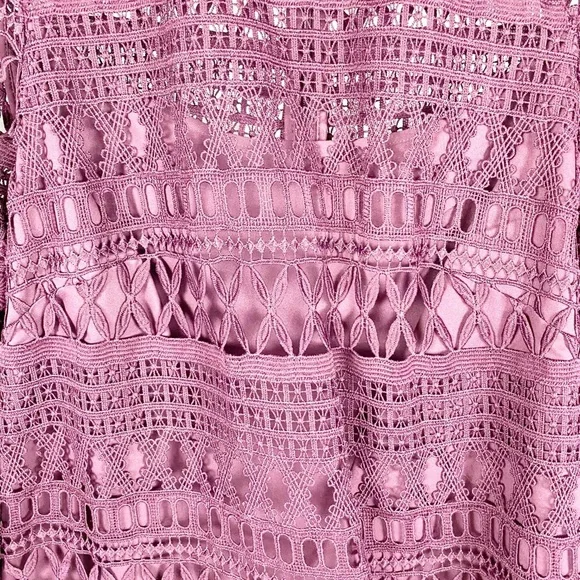 A. MOSS Anthropologie Purple Plum Lace Top - Picture 2 of 4